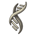 Nicholas A. Saccomano