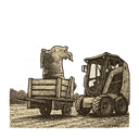 Timothy James Rotolo