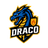 Draco Evolution AI ETF