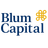 BLUM CAPITAL PARTNERS LP
