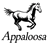 APPALOOSA MANAGEMENT LP