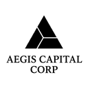 AEGIS FINANCIAL CORP