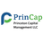 PRINCETON CAPITAL MANAGEMENT LLC