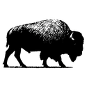 ABRAMS BISON INVESTMENTS, LLC