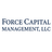 FORCE CAPITAL MANAGEMENT LLC