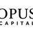 OPUS CAPITAL GROUP, LLC