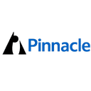 PINNACLE HOLDINGS, LLC