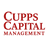 CUPPS CAPITAL MANAGEMENT, LLC