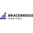 BRACEBRIDGE CAPITAL, LLC