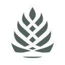 STONEPINE CAPITAL MANAGEMENT, LLC