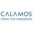 CALAMOS WEALTH MANAGEMENT LLC