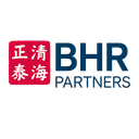 BHR CAPITAL LLC