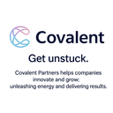 COVALENT PARTNERS LLC