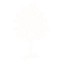 BIRCH RUN CAPITAL ADVISORS, LP