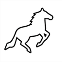 DESTRIER CAPITAL MANAGEMENT LLC