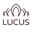 LUCUS ADVISORS LLC