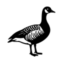 THREE BAYS CAPITAL LP