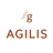 AGILIS PARTNERS LLC