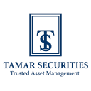 TAMAR SECURITIES, LLC