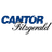 CANTOR FITZGERALD INVESTMENT ADVISORS L.P.