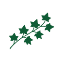 NEO IVY CAPITAL MANAGEMENT