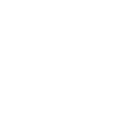 MINICHMACGREGOR WEALTH MANAGEMENT, LLC