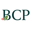 BAYBERRY CAPITAL PARTNERS LP