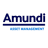 AMERAUDI ASSET MANAGEMENT, INC.