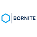 BORNITE CAPITAL MANAGEMENT LP