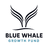 BLUE WHALE CAPITAL LLP