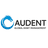 AUDENT GLOBAL ASSET MANAGEMENT, LLC