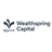 WEALTHSPRING CAPITAL LLC