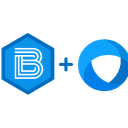 COPPELL ADVISORY SOLUTIONS LLC