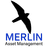 MERLIN CAPITAL LLC
