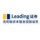 LEADING SECURITIES CO LTD