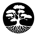 ILEX CAPITAL PARTNERS (UK) LLP