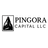 PINGORA PARTNERS LLC