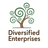 DIVERSIFIED ENTERPRISES, LLC
