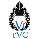 RAREVIEW CAPITAL LLC