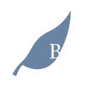BAYFOREST CAPITAL LTD