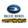 Blue Bird Corporation