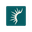 Solaris Energy Infrastructure, Inc.