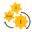 Star Holdings